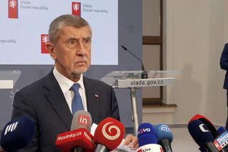 Švihlíková není moje poradkyně, i když to mám na webu, uvedl Babiš - Novinky